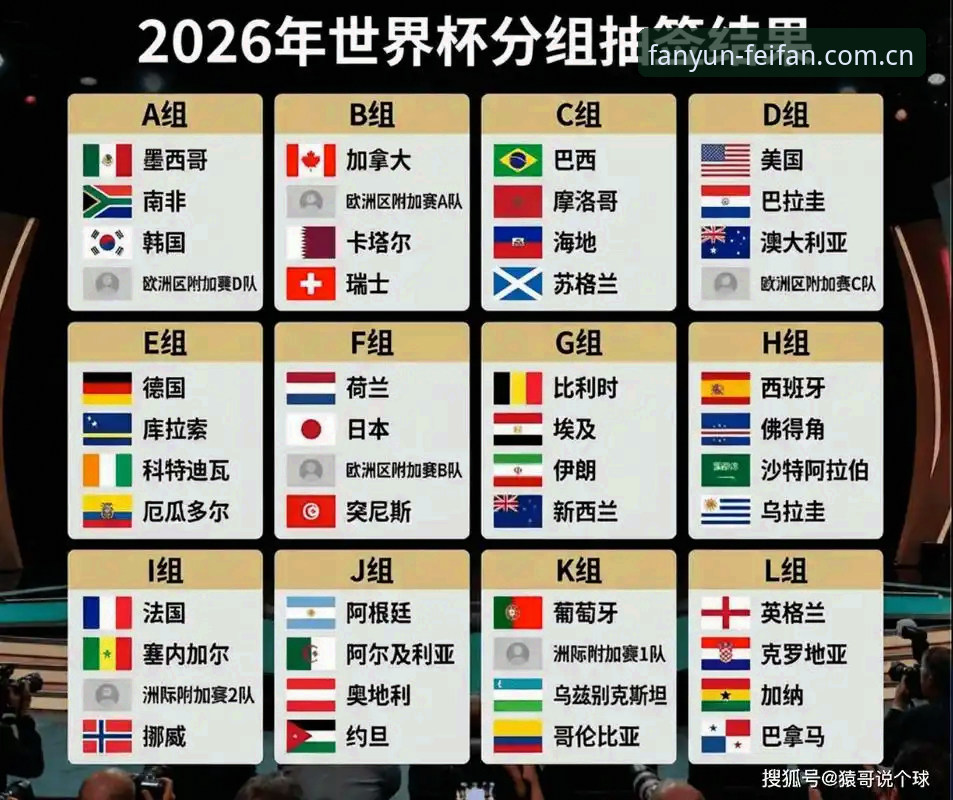 世界杯观赛困境深度分析：地缘政治与签证壁垒如何影响全球球迷赴美热情